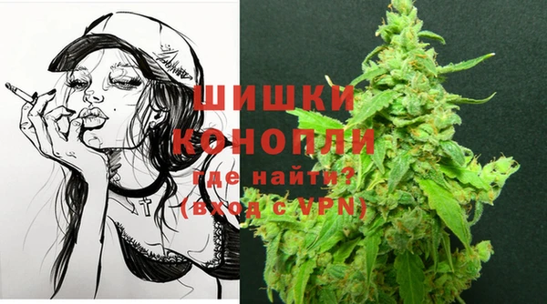 винт Арсеньев
