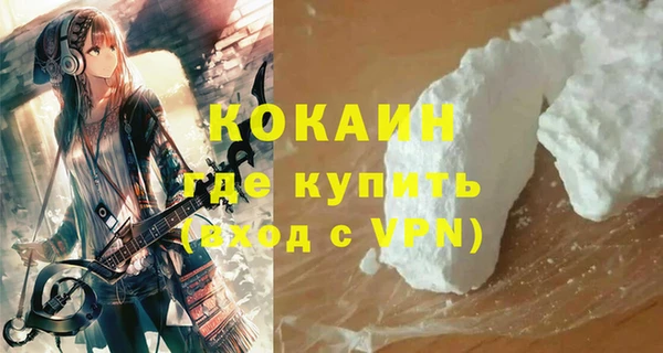 spice Богородск