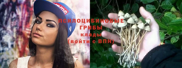 винт Арсеньев
