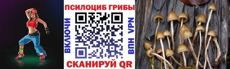 закладка  Кувшиново  блэк спрут ТОР  Галлюциногенные грибы Magic Shrooms 
